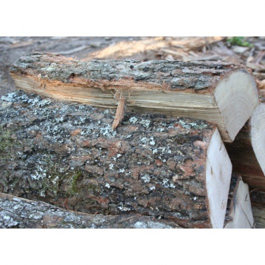 Bûches de chêne vert – 30 cm-EV