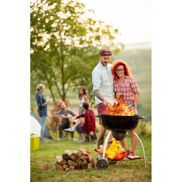 Bois spécial Barbecue en 33cm - Bois de chauffage en palette de 1 stère-EV